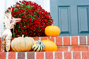 pumpkins and mums on a front doorstep