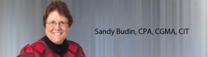 Sandy Budin